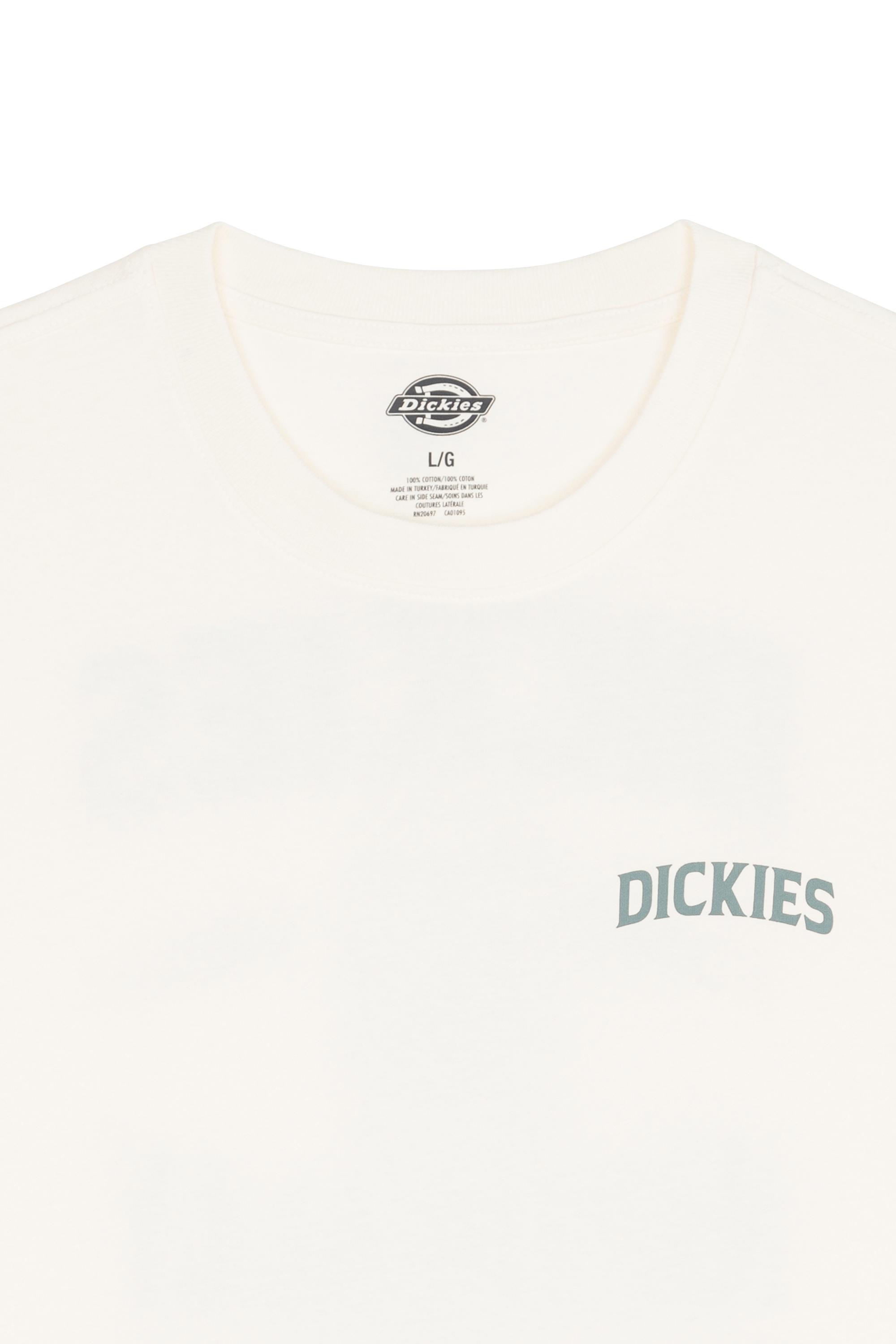 DICKIES T-shirt ELLISTON TEE SS Beige