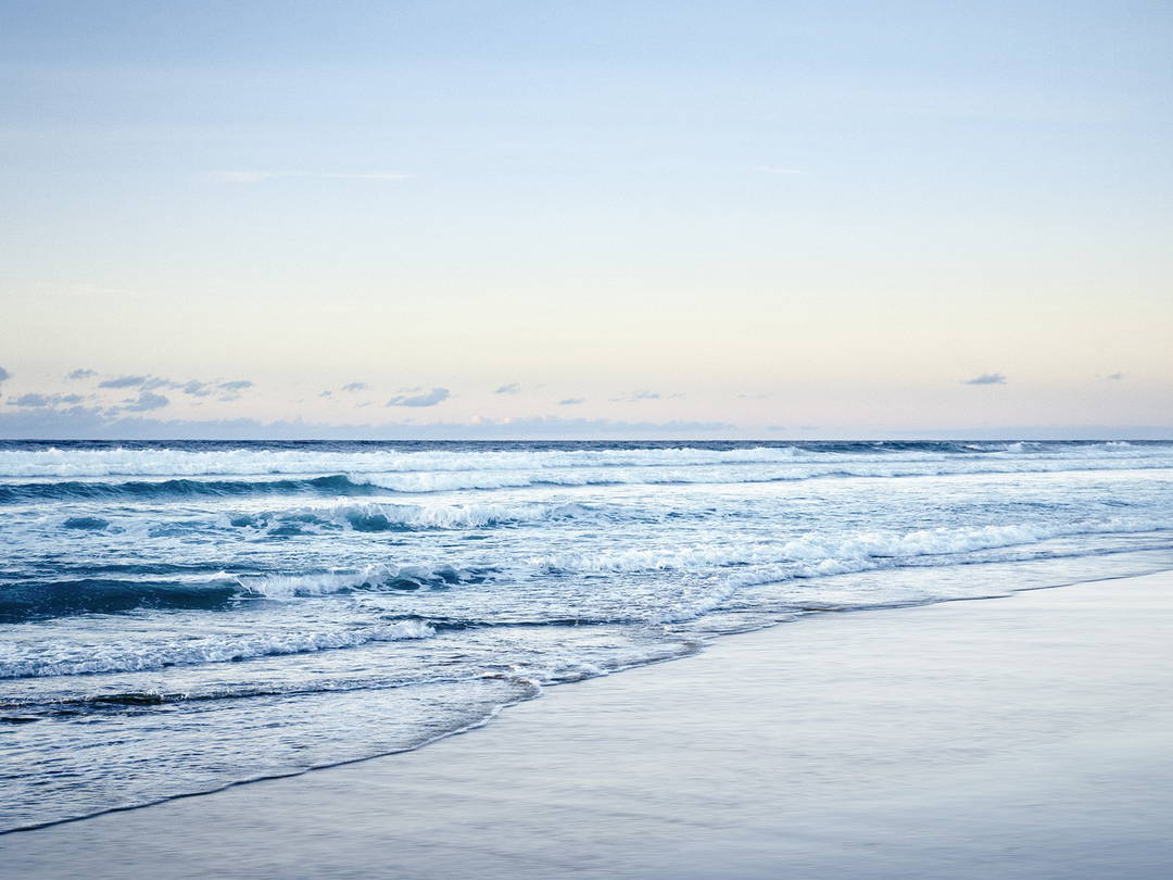 Amoreira by Wolfgang Uhlig - Limited Edition. Edition of: 150. Signed.