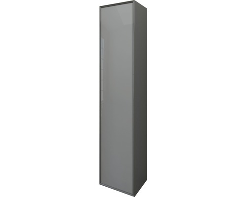 Tessin serie hoge kast, hoogte 160 cm, breedte 35 cm, diepte 27 cm, antraciet, glazen fronten