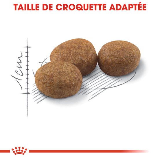 Croquettes chat Adulte stérilisé de 1 à 7 ans Sterilised 2kg