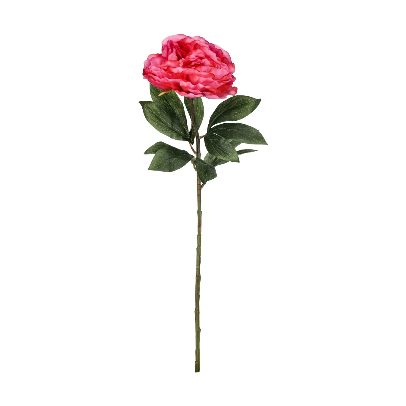 Pion snitt kunstig Høyde 63 cm