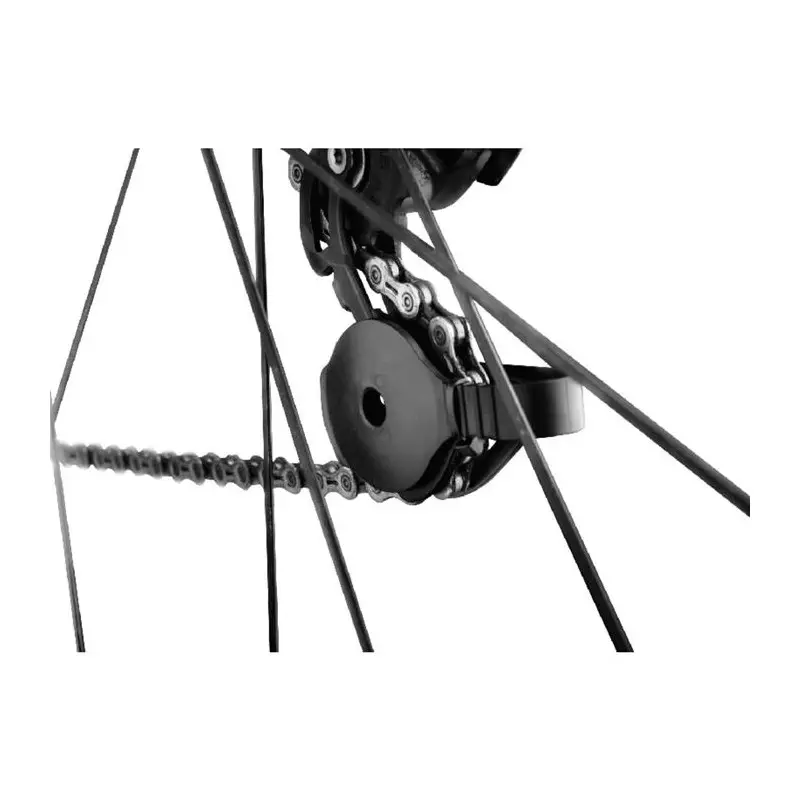 BIRZMAN Protege derailleur interne