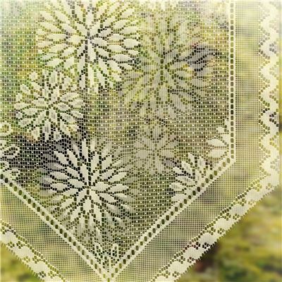 Voilages en pointe dentelle à fleurs - la paire