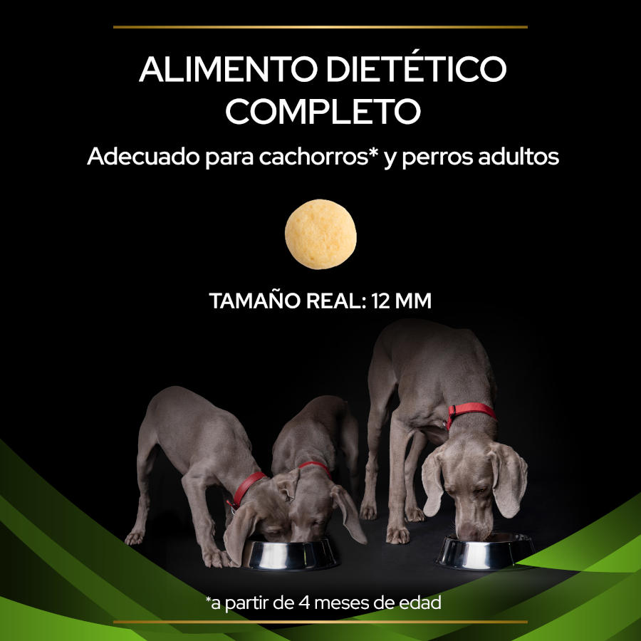 Pro Plan Veterinary Diets Ração Hipoalergênica para Cães