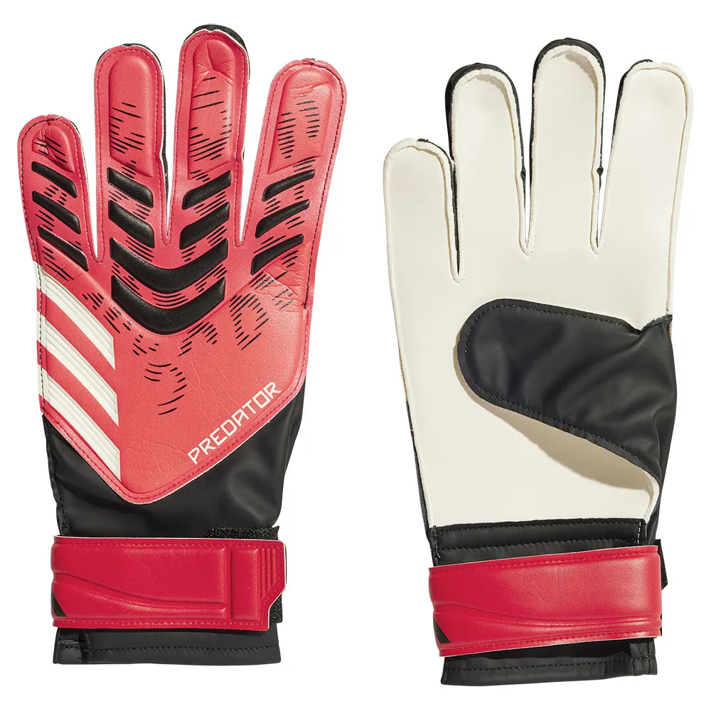 Luvas de treino para goleiro adidas Predator