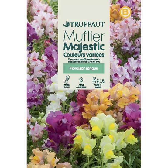 Muflier Majestic demi-nain varié : en sachet