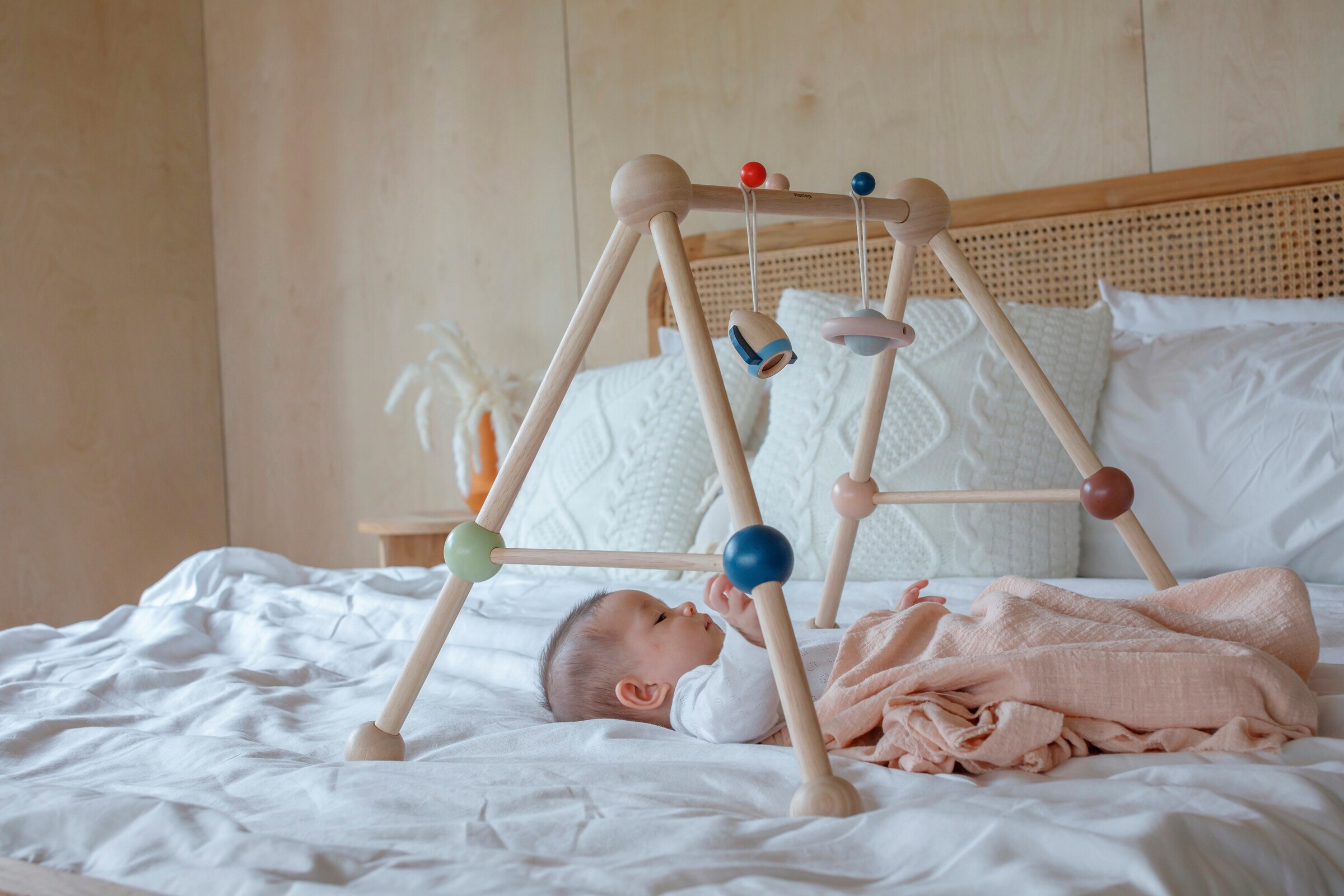 PlanToys Babygym Orchard