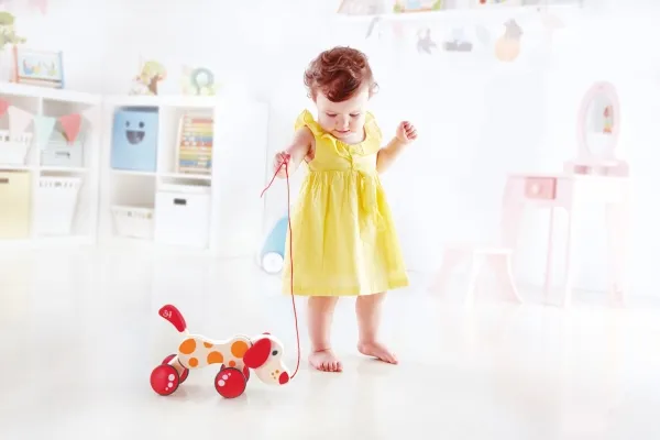 Hape Walk-A-Long Puppy