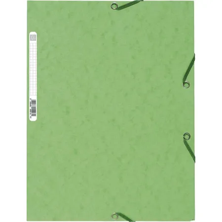 Exacompta 55513E Sammelmappe, lindgrün