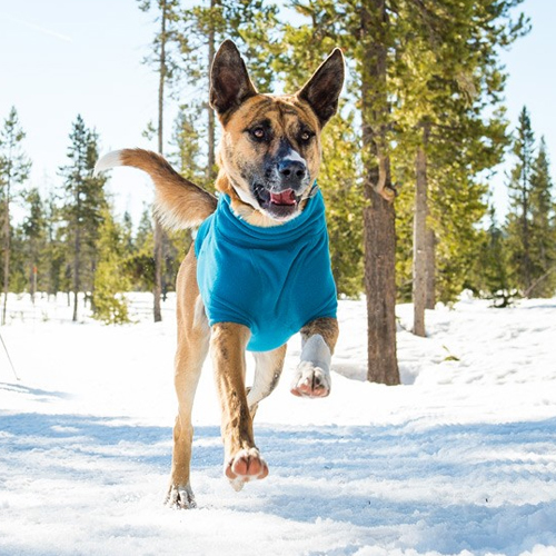 Ruffwear Climate Changer Fleece Jacket