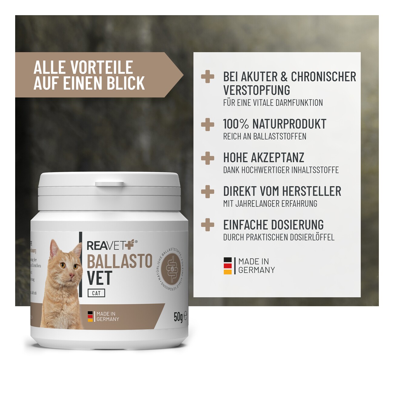 REAVET BallastoVET für Katzen 50g
