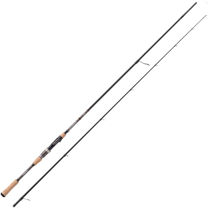 Canne Spinning Balzer Diabolo Fury Zander