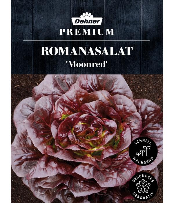 Dehner Premium Samen Romanasalat 'Moonred'