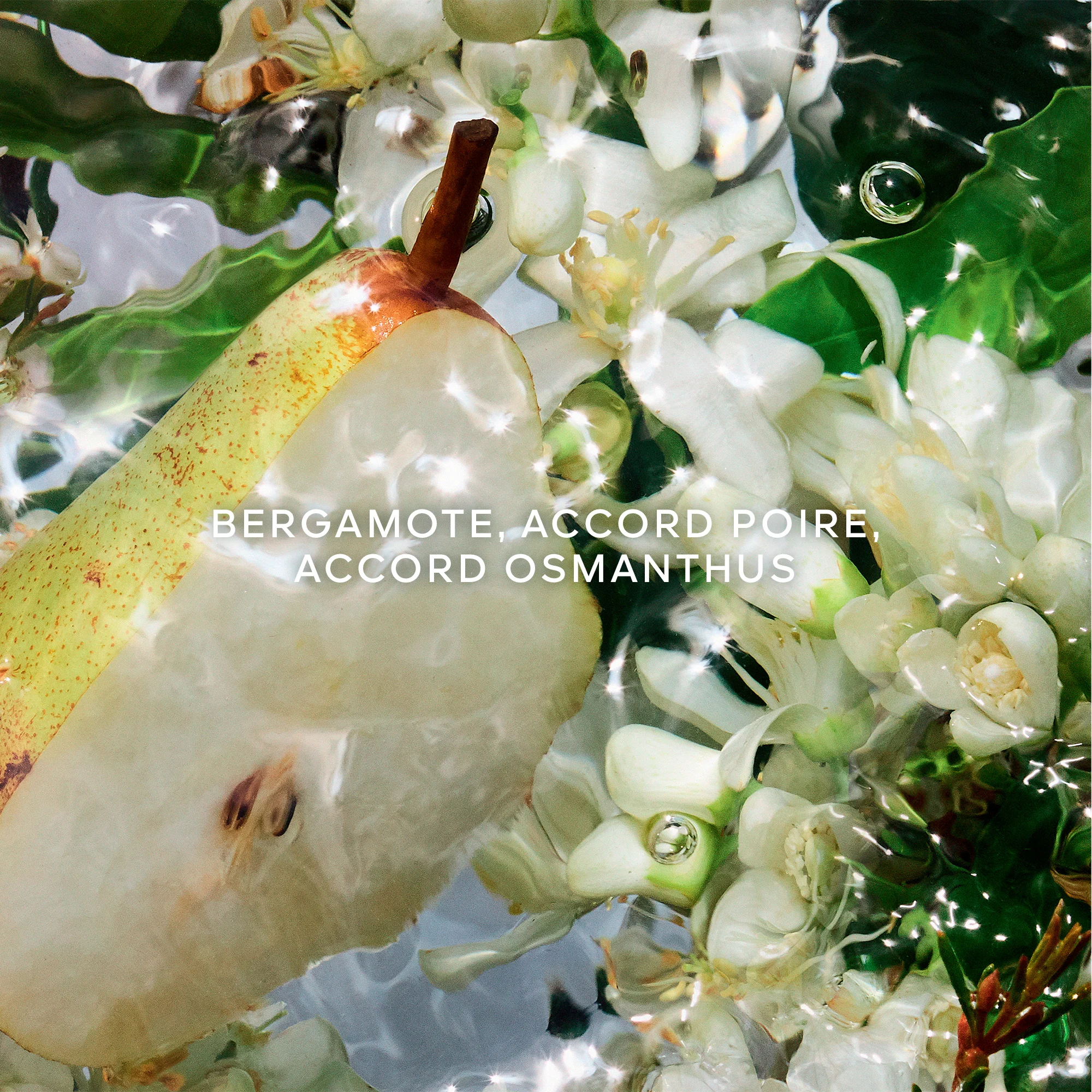 Aqua Allegoria Pera Granita - Eau de Toilette |
