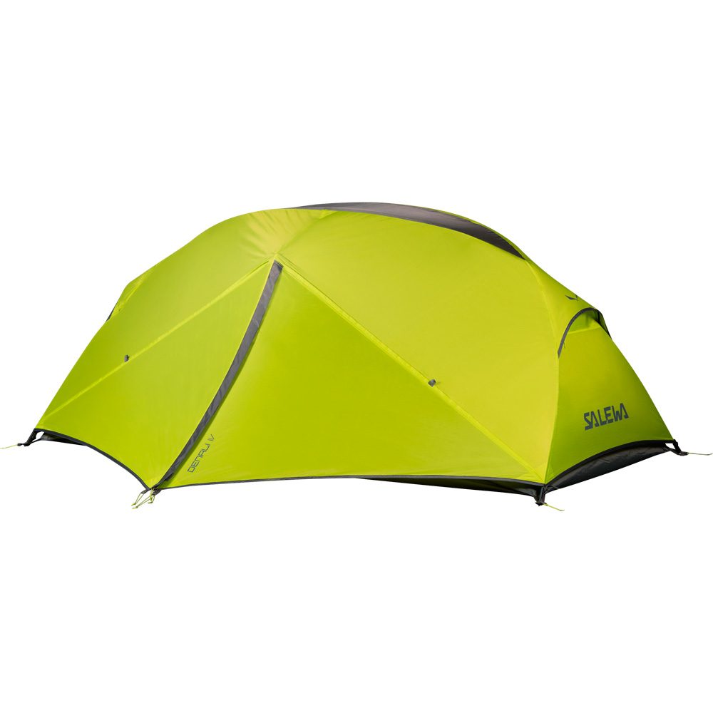 SALEWA Denali IV Kuppelzelt cactus grey