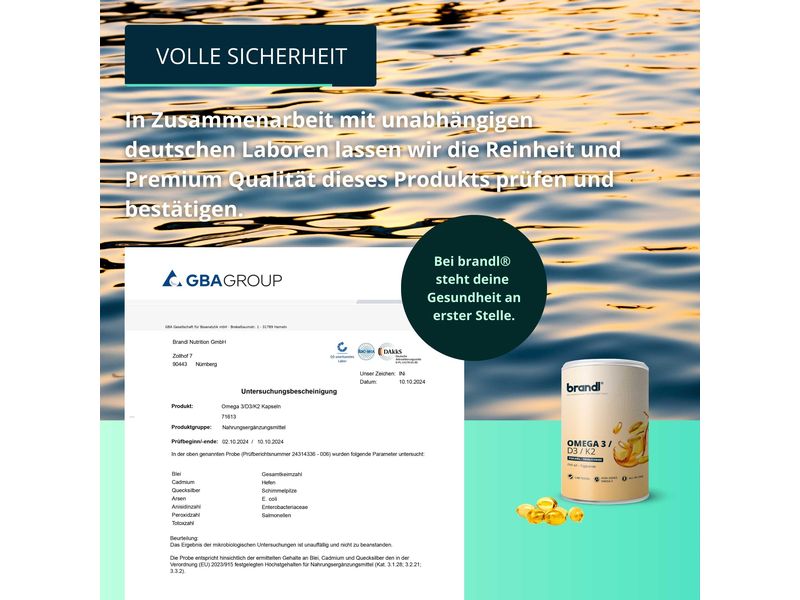 Brandl-Nutrition Kapseln Omega 3/D3/K2 100 g Kapseln