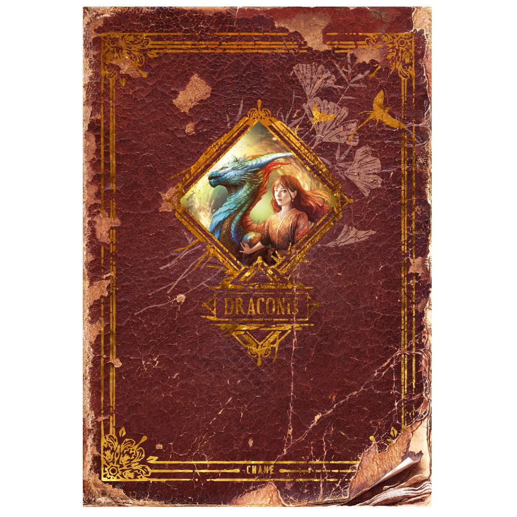 Dragons - Draconis Artbook
