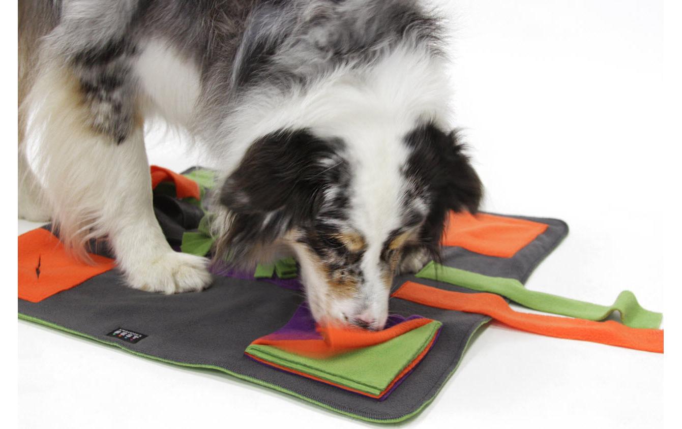 Hunde-Spielzeug Happypad 60 x 60 cmAuf die Bedürfnisse der Hunde abgestimmtes Qualitäts‐Spielzeug