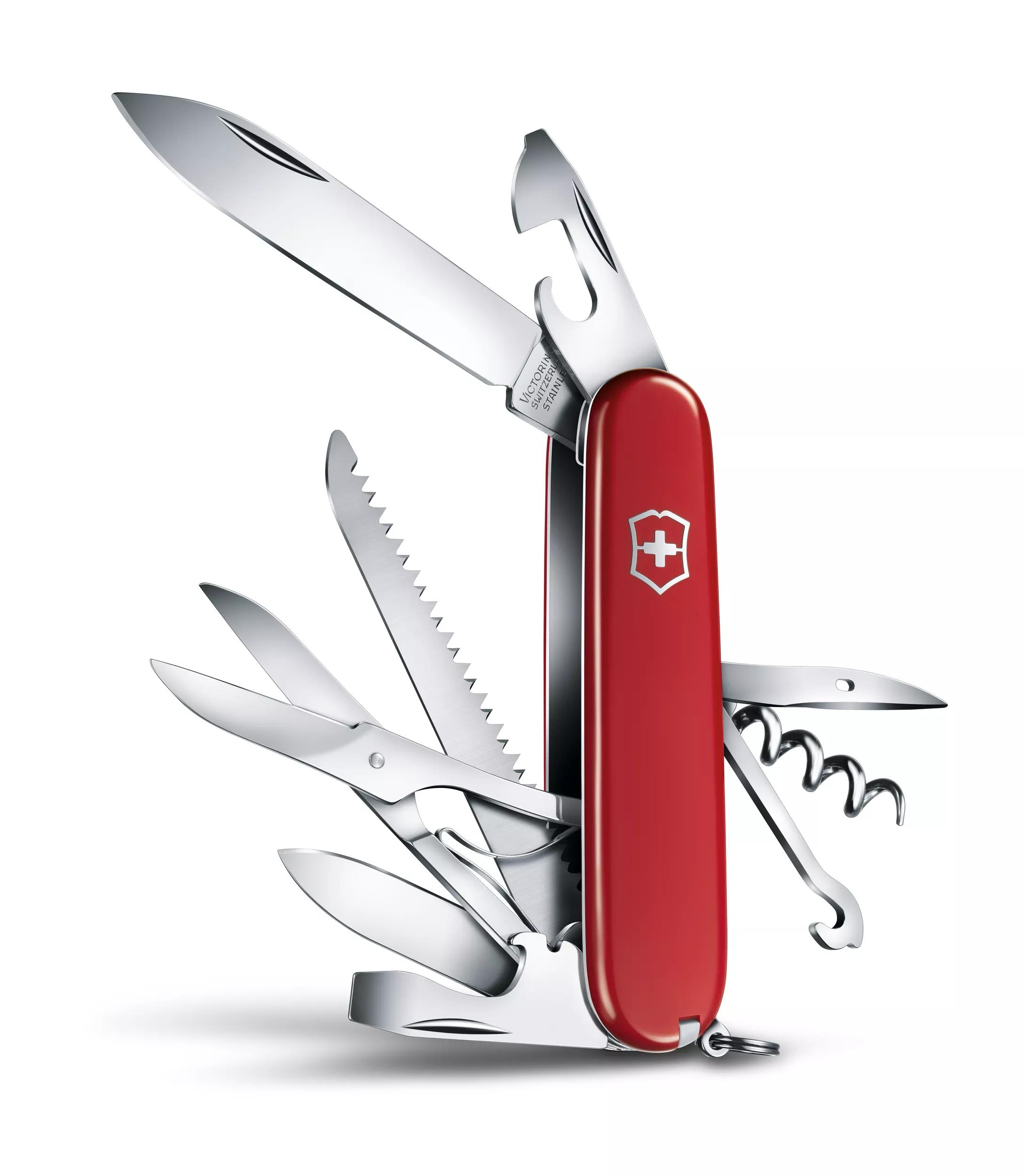 Huntsman-rot