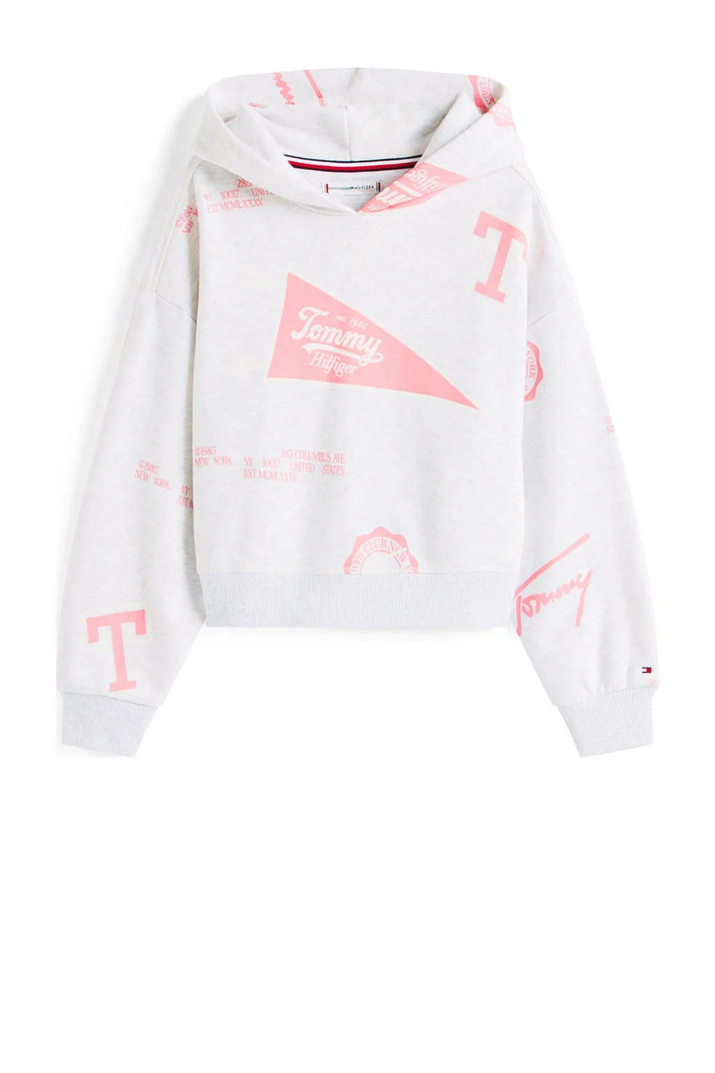 Tommy Hilfiger hoodie grijs melange