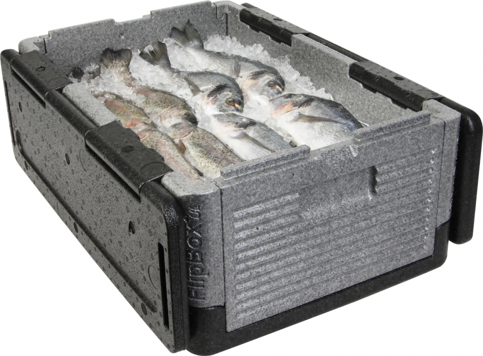 Overath Flip Box BIG faltbare Isolierbox 39 Liter