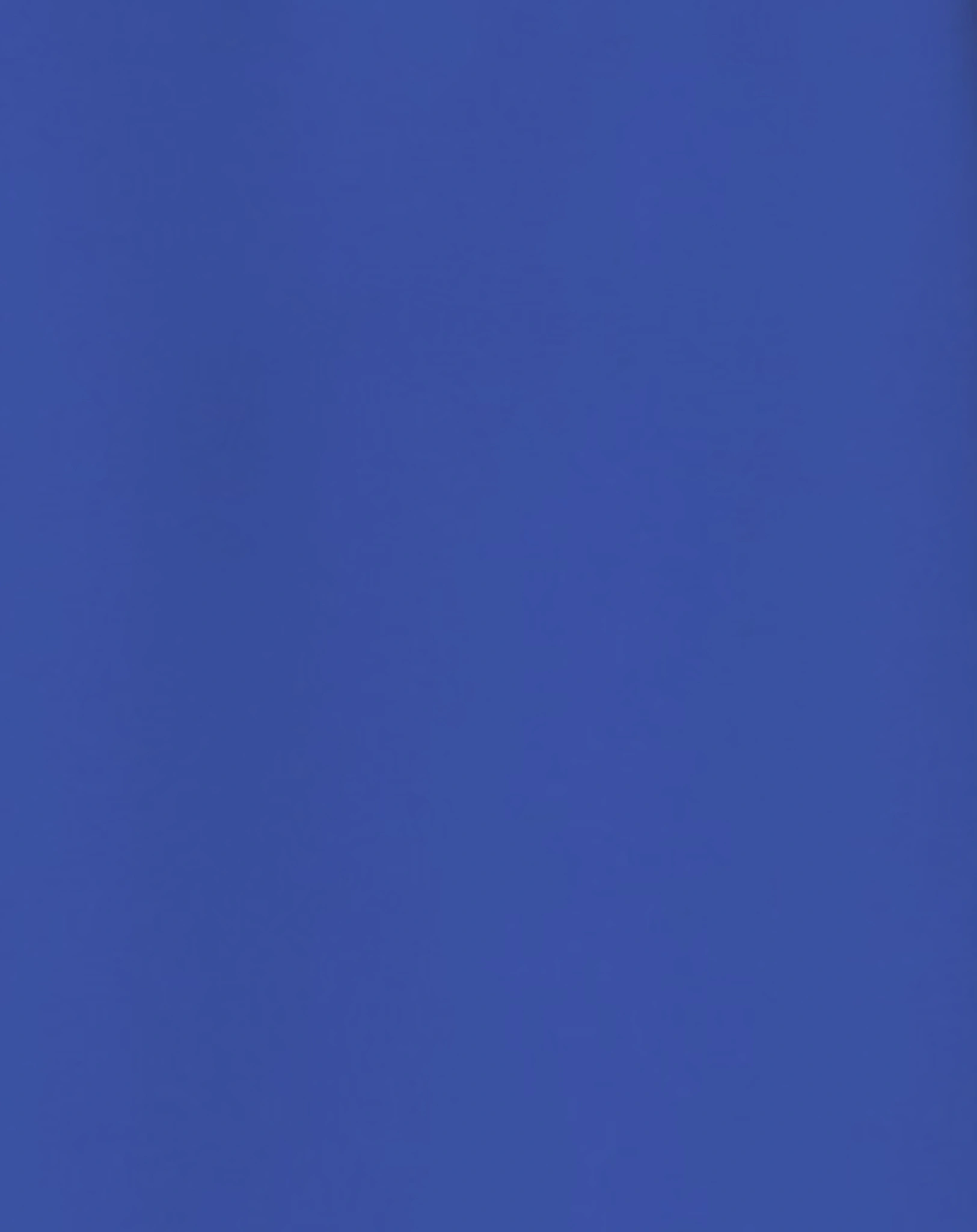Langarmshirt NMFVIOLET in dazzling blue