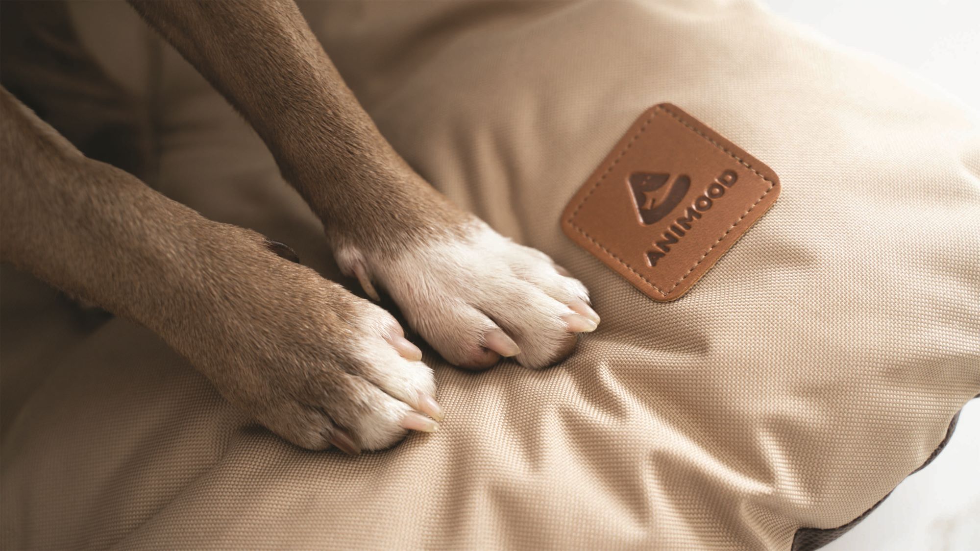 Animood Hundebett-Kissen Mort cappuccino L Tierbett Tiersofa