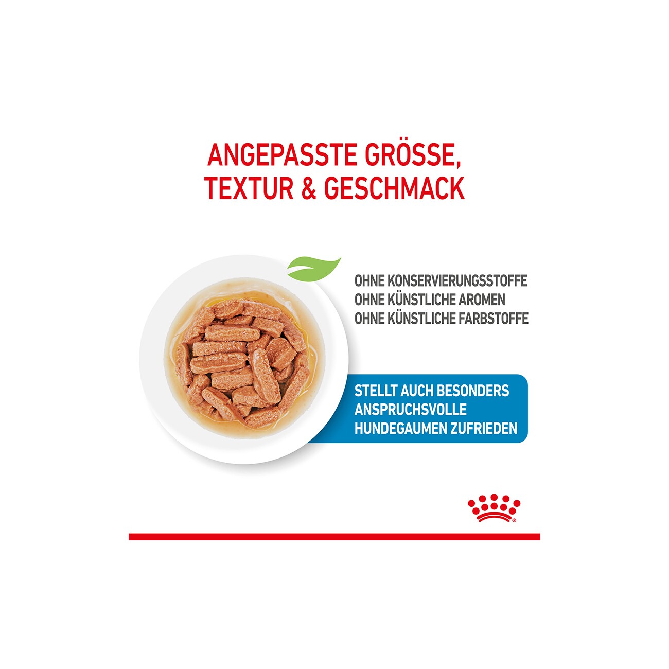 ROYAL CANIN Medium Puppy in Soße 10x140 g