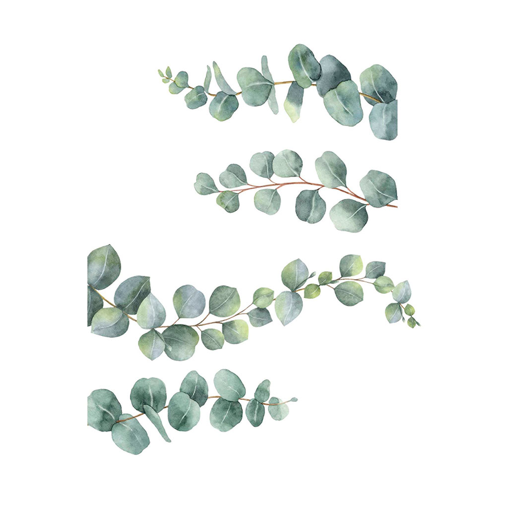 Sticker mural déco branches d'eucalyptus 70x50cm