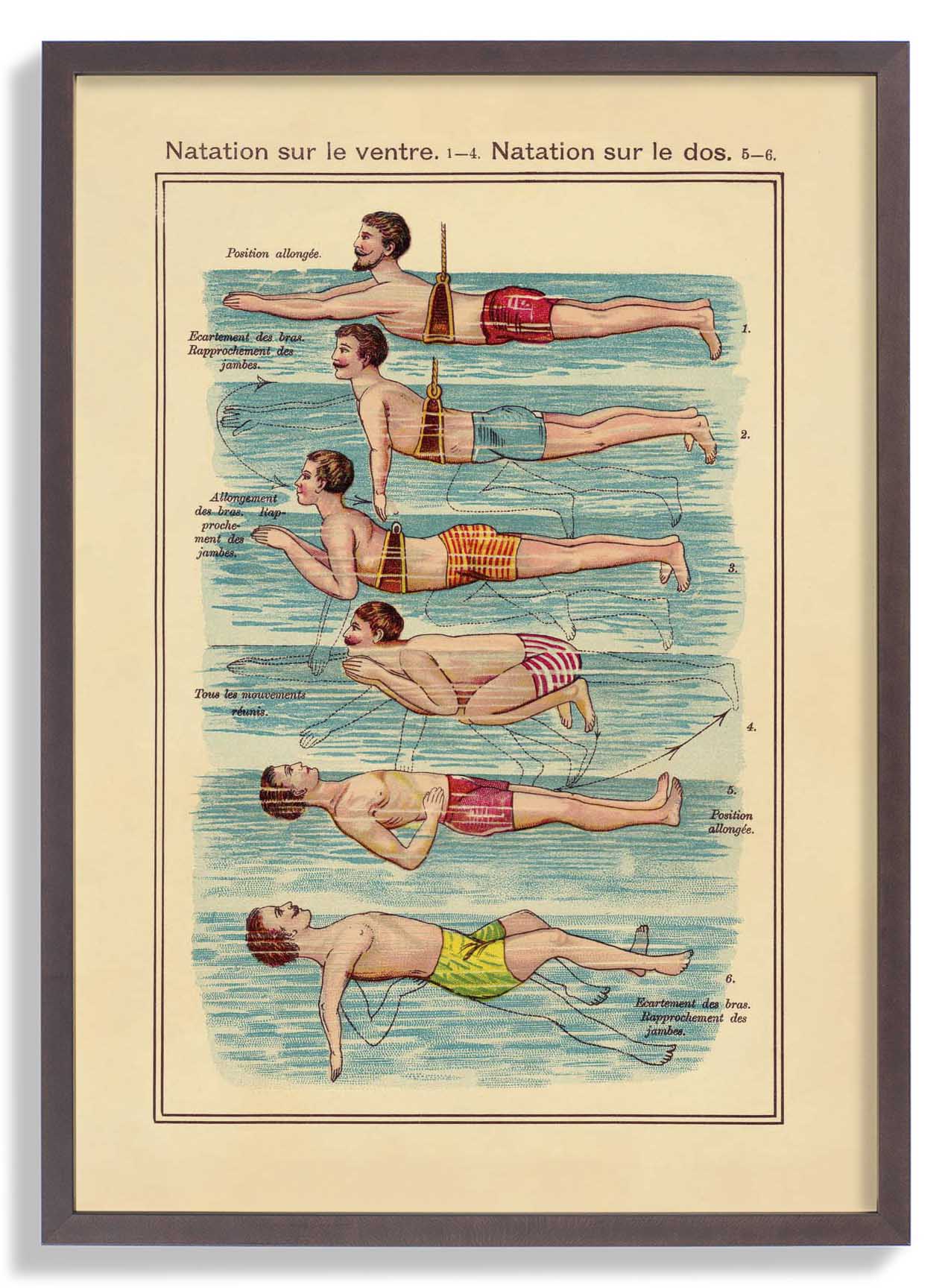 Der Schwimmer