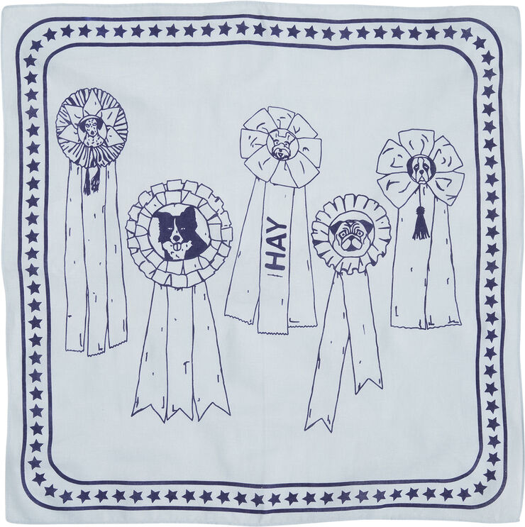 Hay HAY Dogs Scarf-55 x 55-Light blue