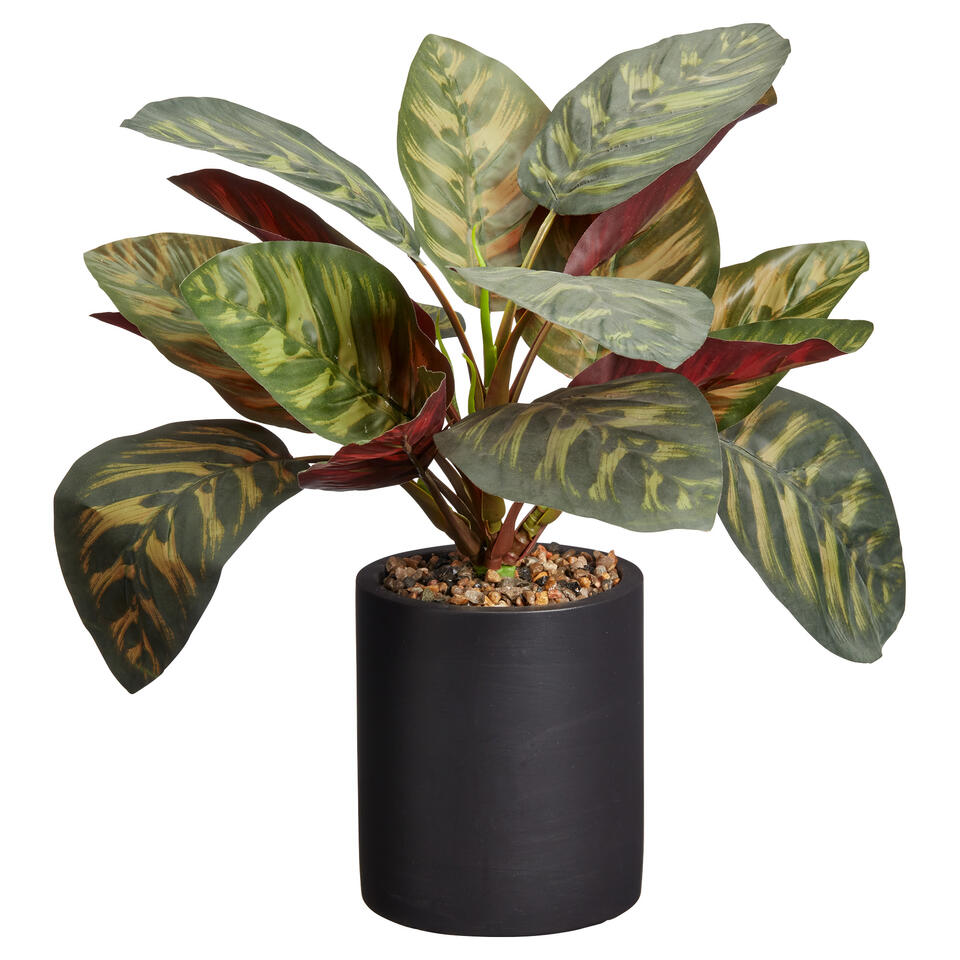 Kunstplant Calathea Groen