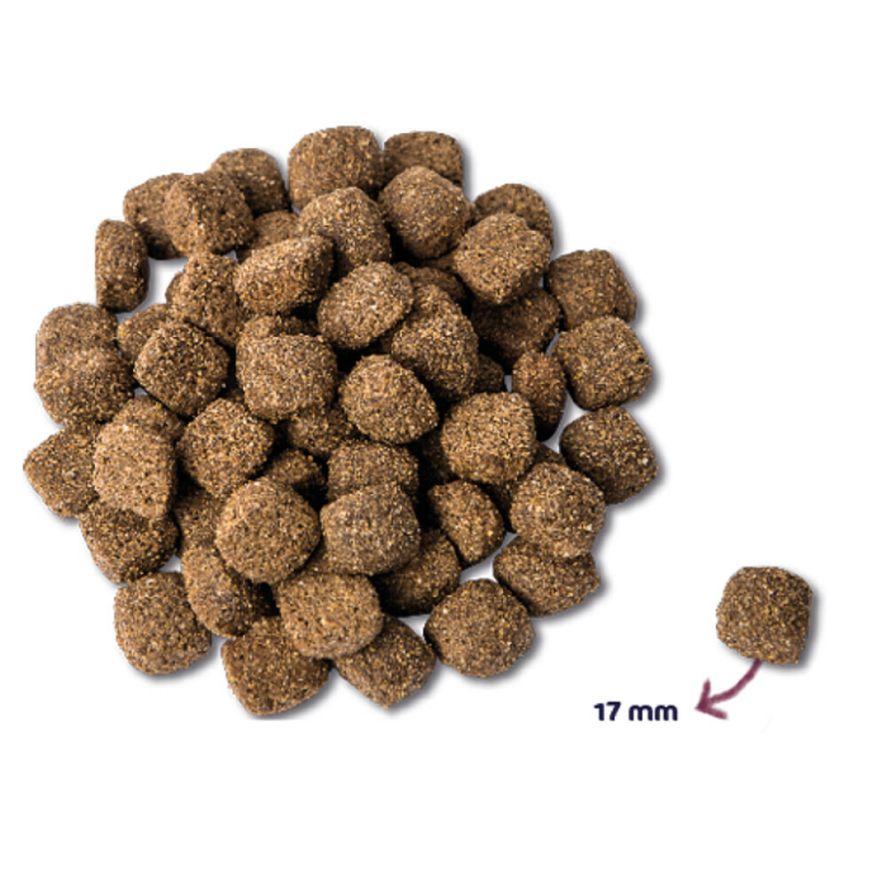 Renske Mighty Omega Plus Hondenvoer Kip600 gr