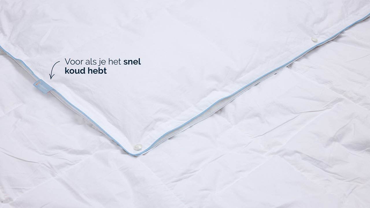 B Bright 4 seizoenen dekbed 60% dons