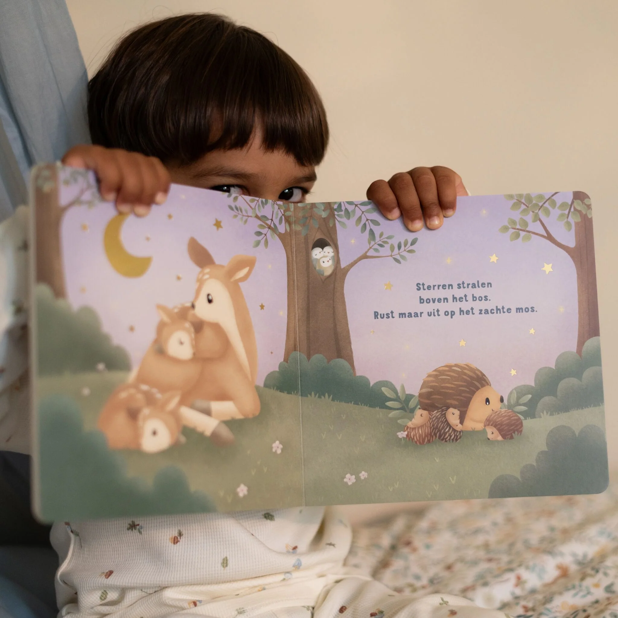 Boekje Welterusten Kleintje – Lief bedtijdverhaal voor kinderen | Little Dutch