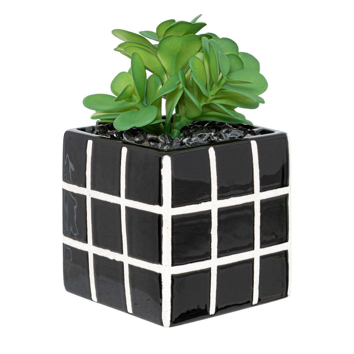 PLANTE FAMILY CORNER POT CERAMIQUE H.17CM