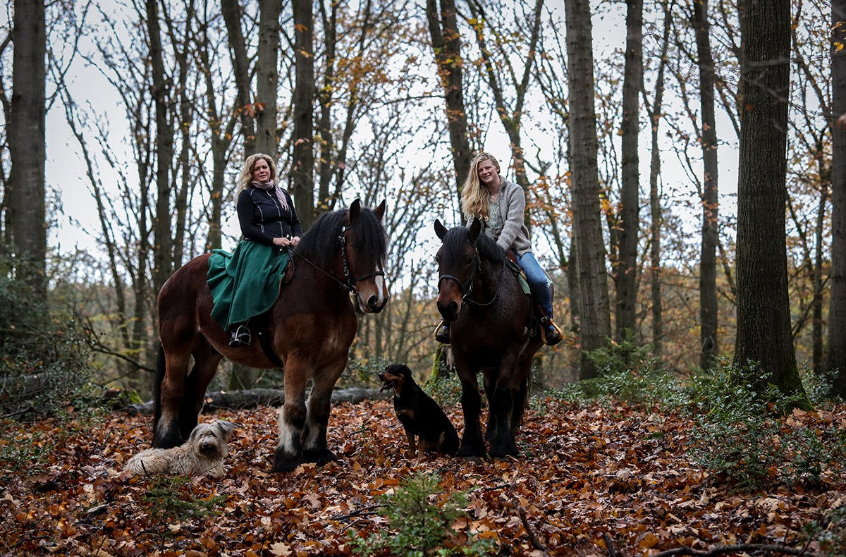 Reiten Windeck