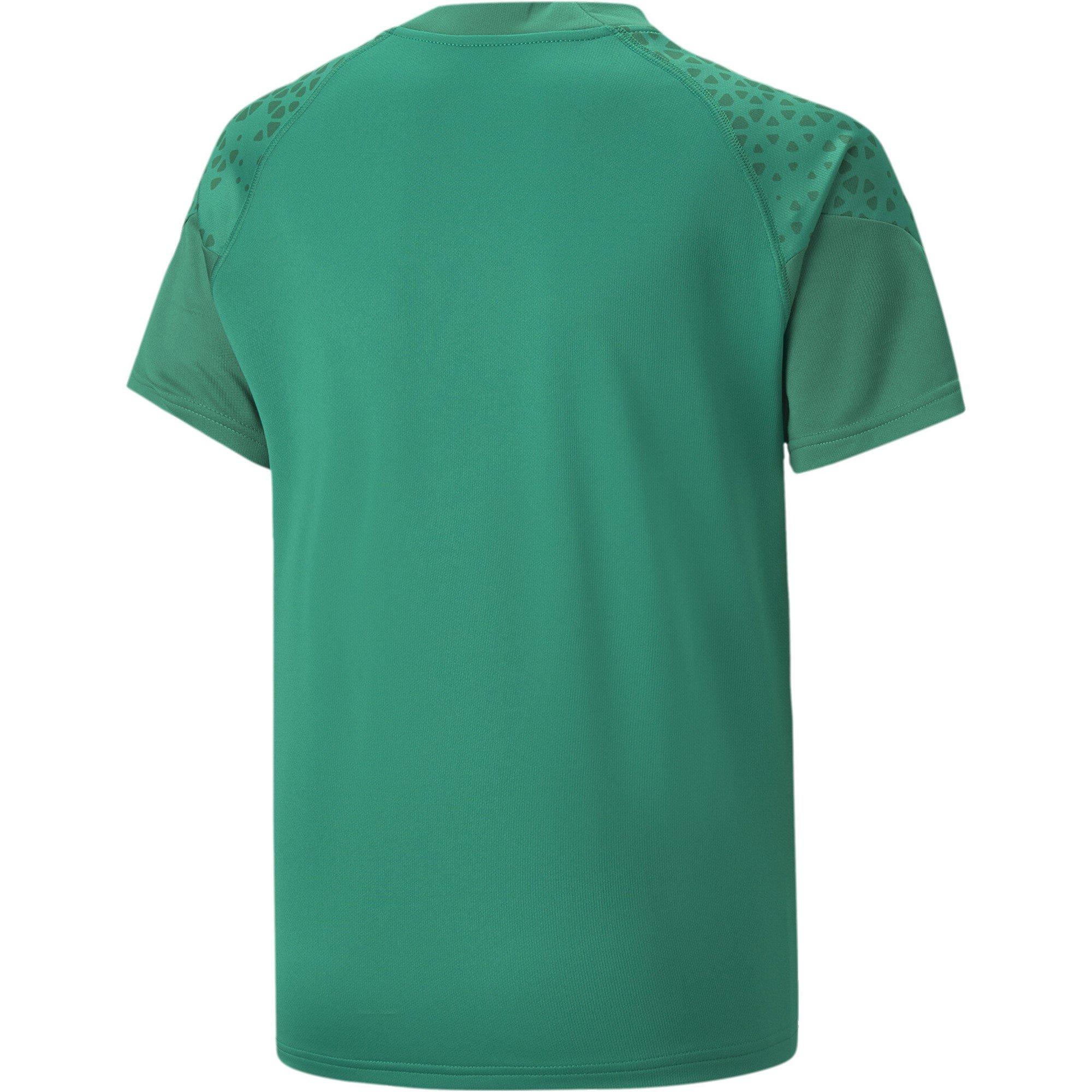 Puma Puma Teamcup Training Jersey Jr T-Shirt Unisex Kids