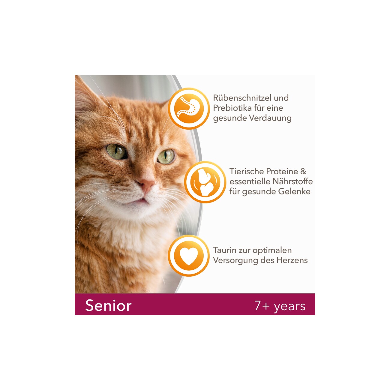 IAMS Vitality Senior Huhn 10 kg