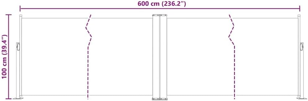 vidaXL Seitenmarkise Ausziehbar Sichtschutz Sonnenschutz Windschutz Seitenrollo Seitenwandmarkise Markise Terrasse Balkon Garten Anthrazit 100x600cm