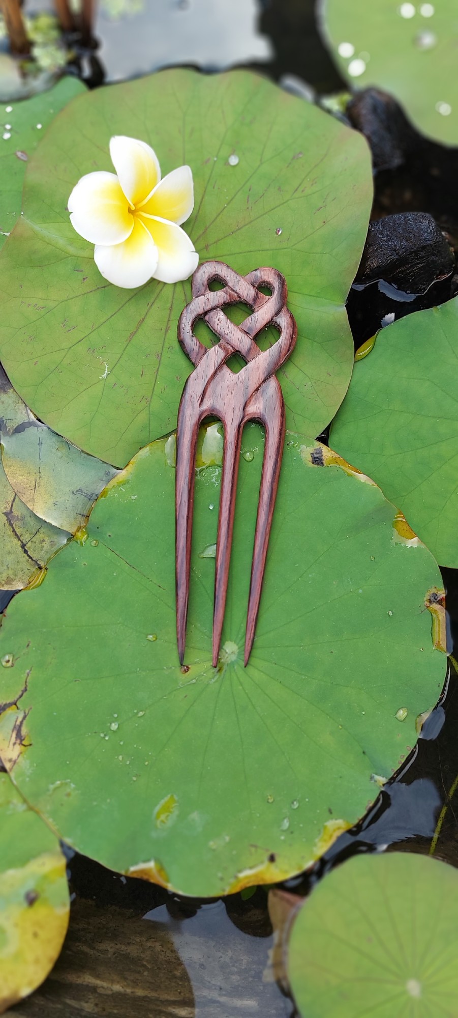 3er Haarnadel 'Celtic' aus Holz, L 16,5 cm, B 5 cm , H 0,7 cm günstig bestellen
