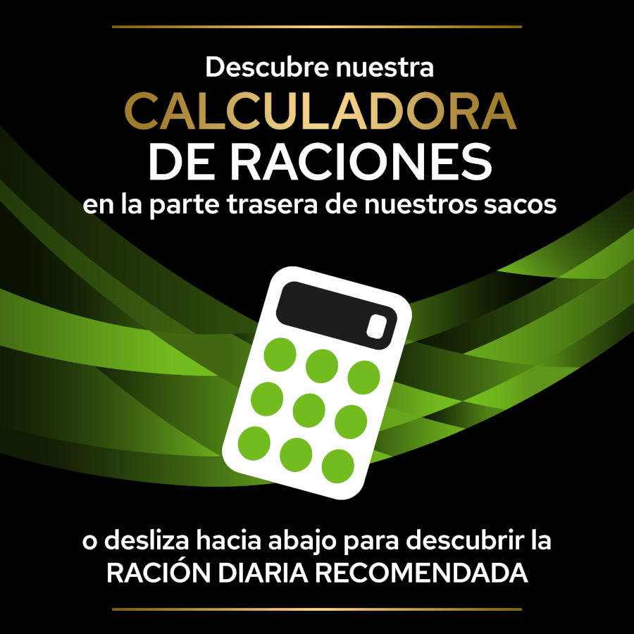 Pro Plan Veterinary Diets Ração Hipoalergênica para Cães