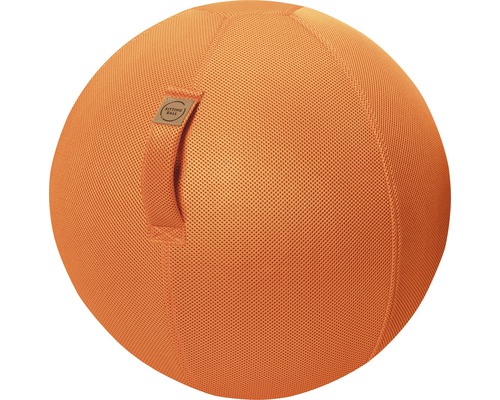 Opblaasbare oefenbal/gymnastiekbal/zitbal/meshbal, oranje, Ø 65 cm
