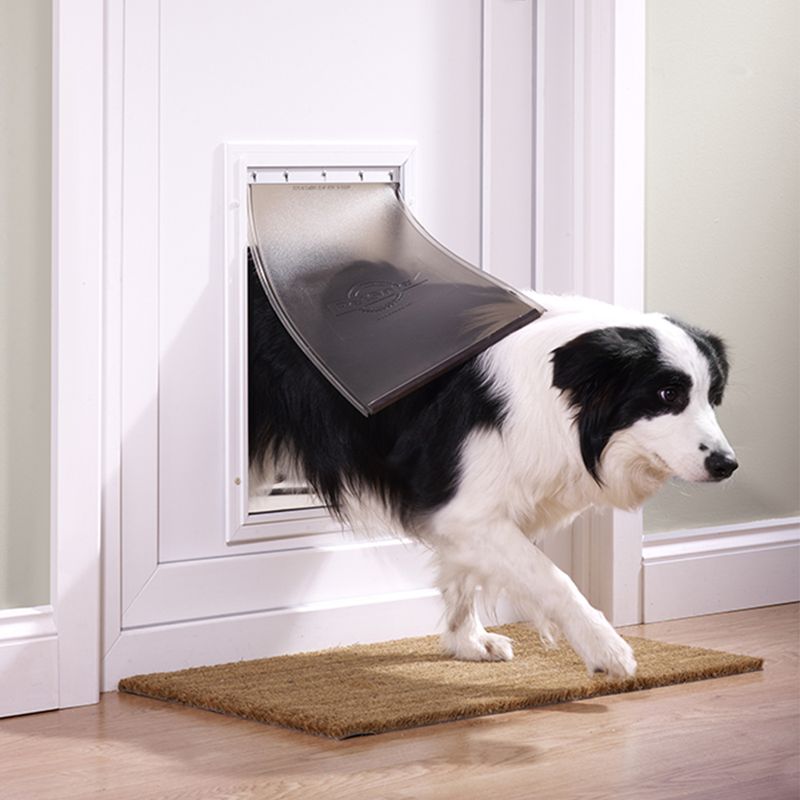 Chatière PetSafe Staywell en aluminium à prix discount sur bitiba.fr