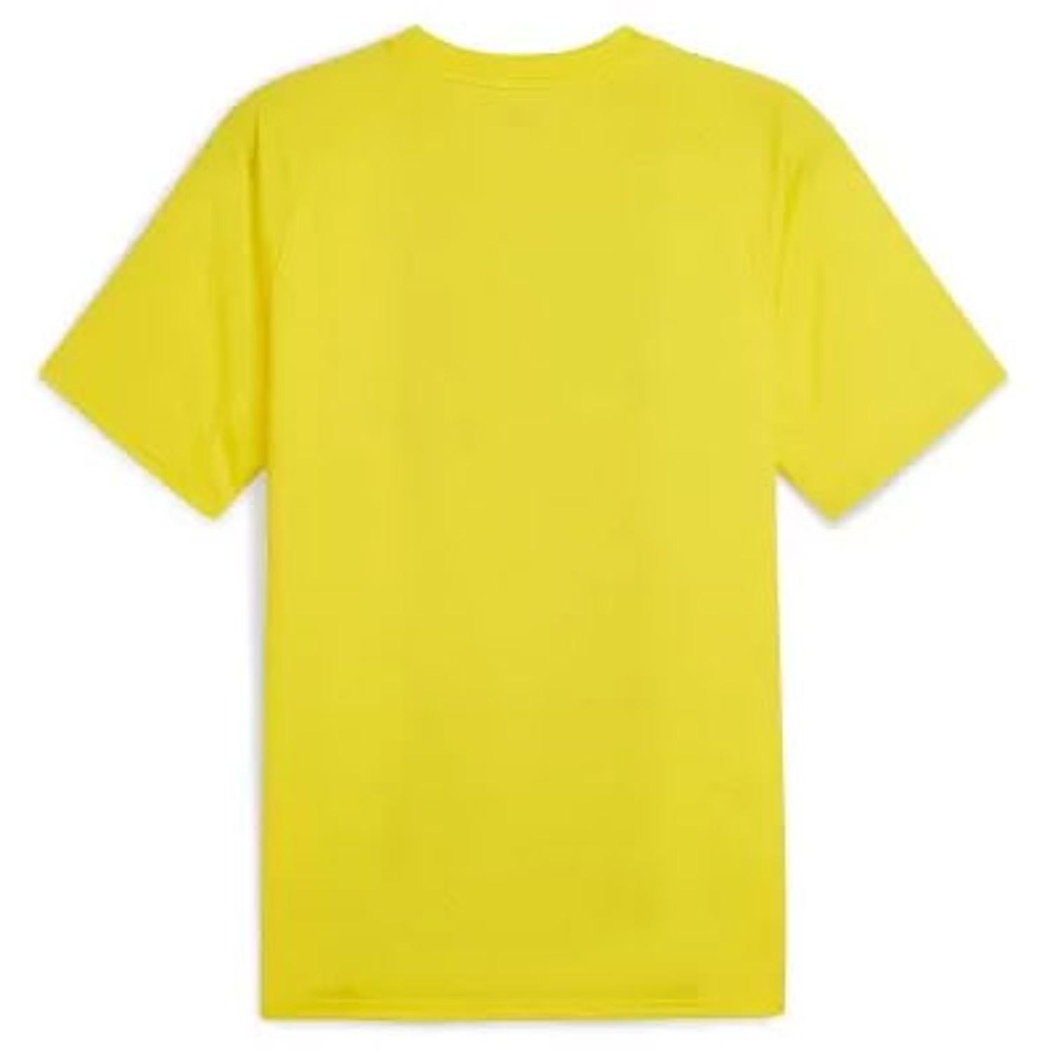 Puma Borussia Dortmund Pre-Match Trainingsset
