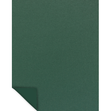 Rolgordijn Draaikiepraam kunststof of aluminium 1117 warm groen