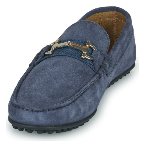 Aldo - SCUDERIA - Marine
