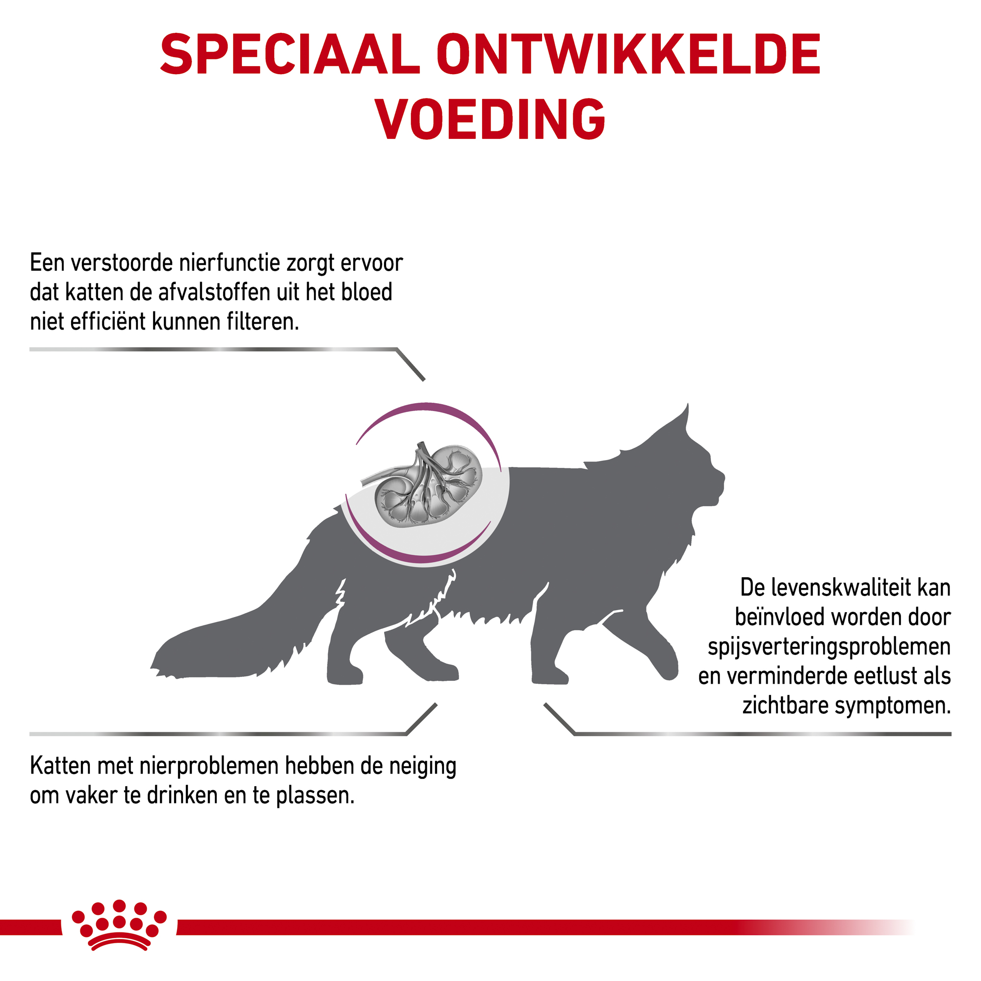 Royal Canin Renal Kat