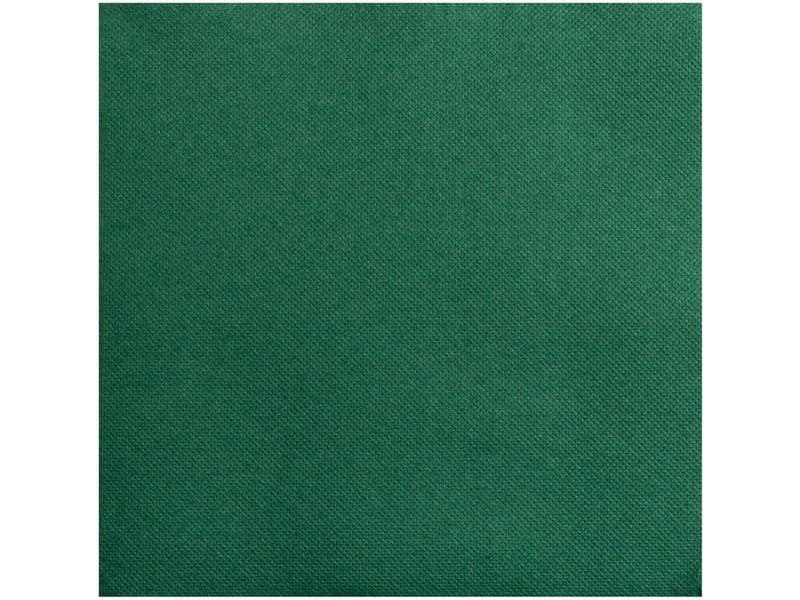 PRO nappe Papierservietten Grün 20 cm x 20 cm, 50 Stück Packung mit 50 Cocktail-Servietten