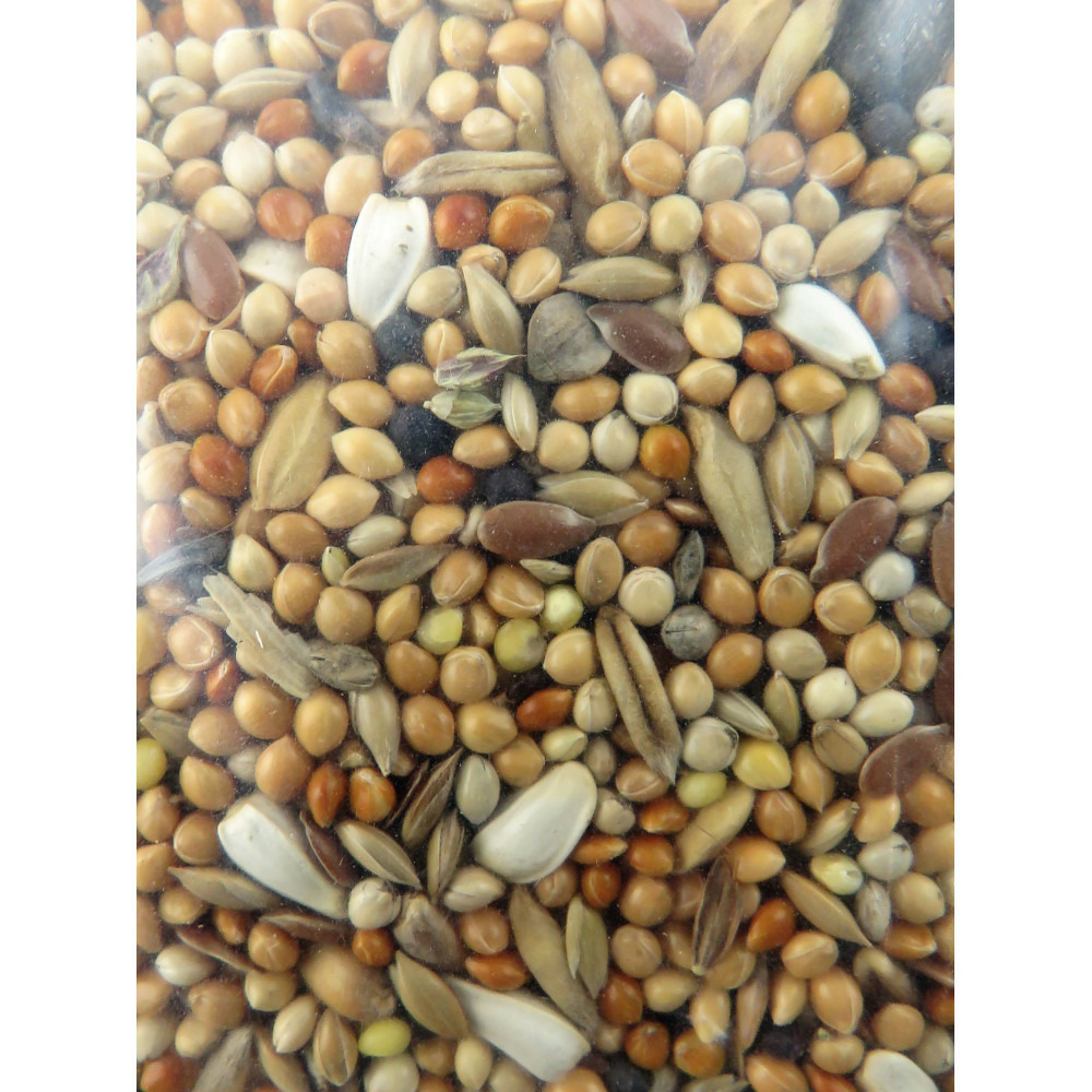 Graines grandes perruches nutrimeal - 12kg.